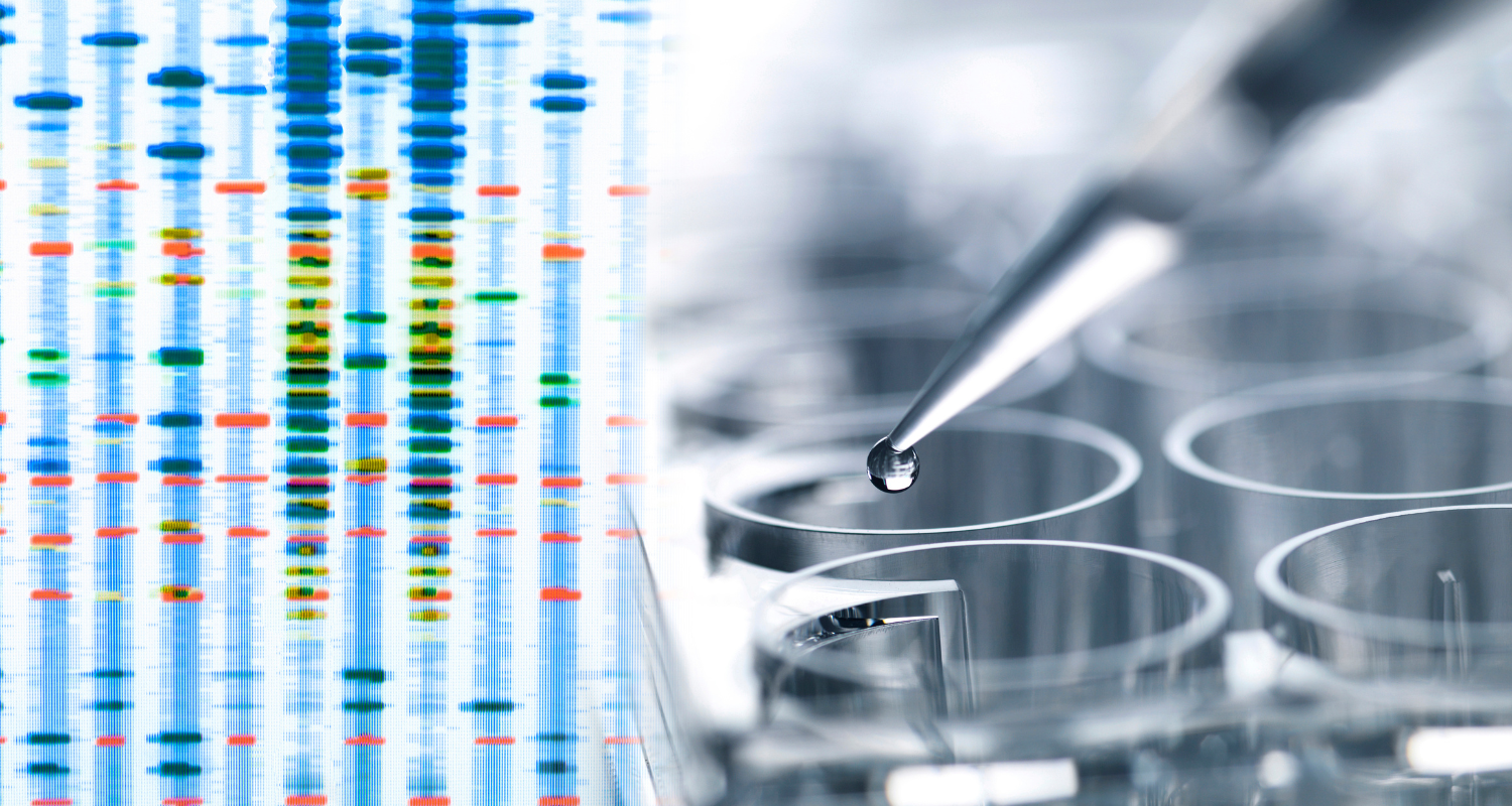 What Is Bioresonance Testing? Finding The Right Test For you?